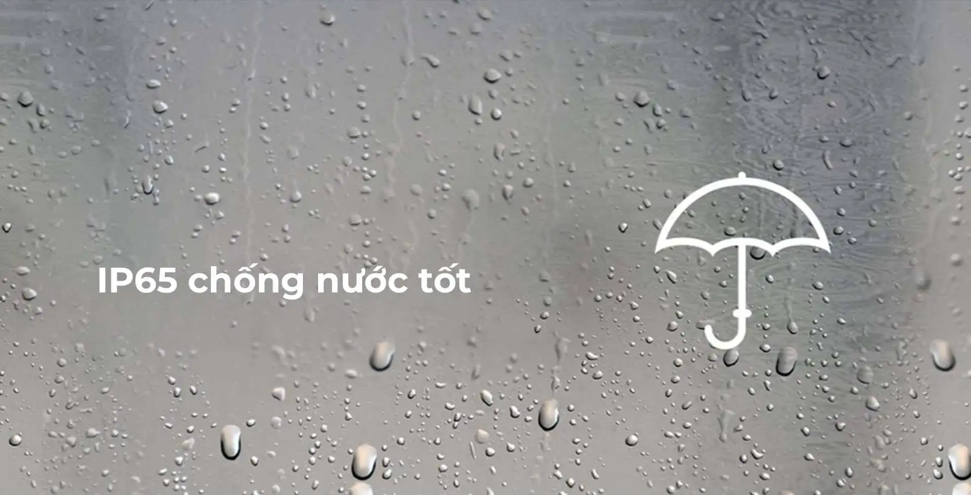 Máy quét lấy mẫu vân tay BioMini Plus 2 chống nước và bụi